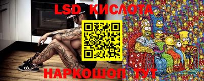 Альфа ПВП Владикавказ