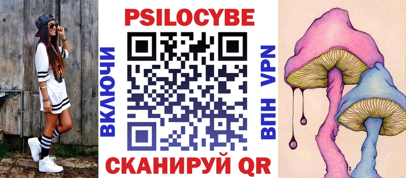 Псилоцибиновые грибы Psilocybine cubensis  Морозовск 