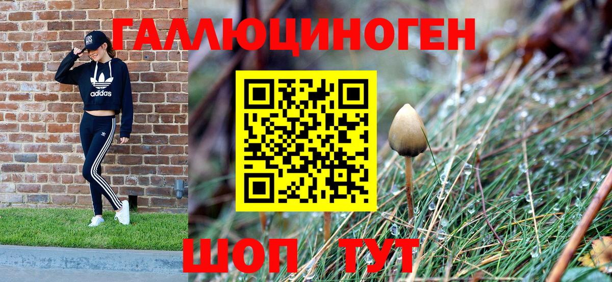 Галлюциногенные грибы Psilocybe  Вход с VPN  Галлюциногенные грибы мухоморы  Морозовск 